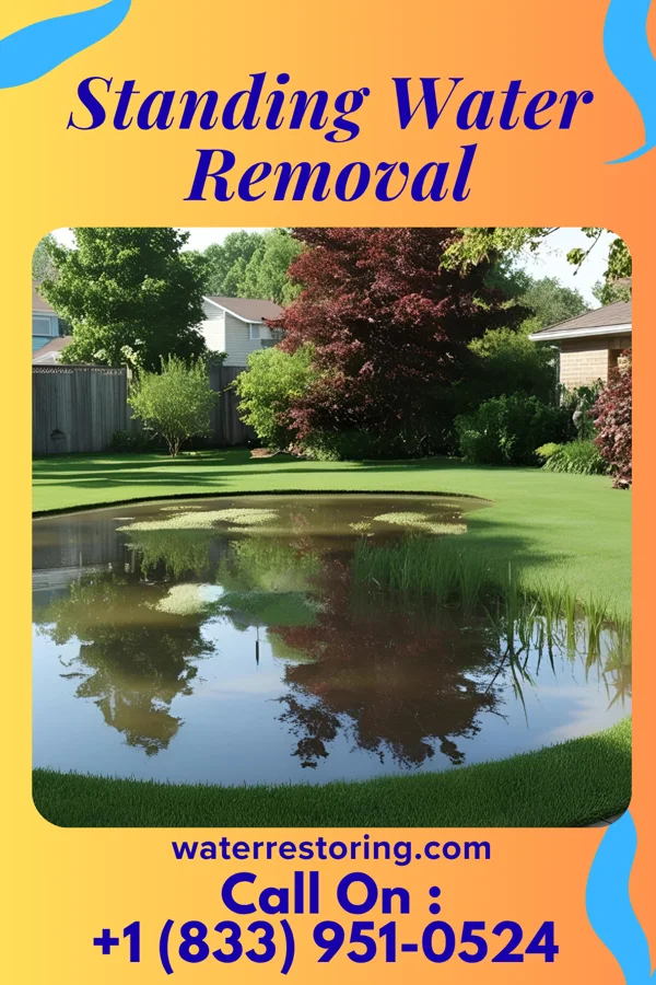Standing Water Removal in Lowell, MA